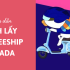 Hướng dẫn kiếm xu và cách sử dụng xu trên Lazada siêu hời